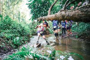 BIB: 
                            <button type="button" onclick="openModal(25478756)" class="btn btn-primary btn-sm float-right btn-popup" data-toggle="modal" data-target=".modal-high-quality">
                        <i class="fas fa-shopping-cart"></i> Add to Cart
                    </button>
                                            <button type="button" onclick="isThisMe(25478756, true)" class="btn btn-success btn-sm float-right btn-popup btn-isme hidden" data-toggle="tooltip" data-placement="bottom" title="นี่คือรูปของคุณใช่ไหม คลิกที่นี่เพื่อเอาเข้าอัลบั้ม">
                        <i class="fas fa-plus"></i> Add to album
                    </button>
                    <button type="button" onclick="isThisMe(25478756, false)" class="btn btn-warning btn-sm float-right btn-popup btn-isnotme hidden">
                        <i class="fas fa-ban"></i> Remove from album
                    </button>